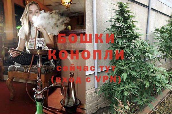 mix Нея