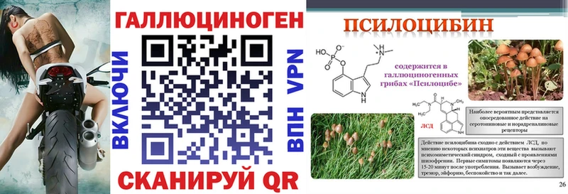 Псилоцибиновые грибы Magic Shrooms  Усть-Кут 