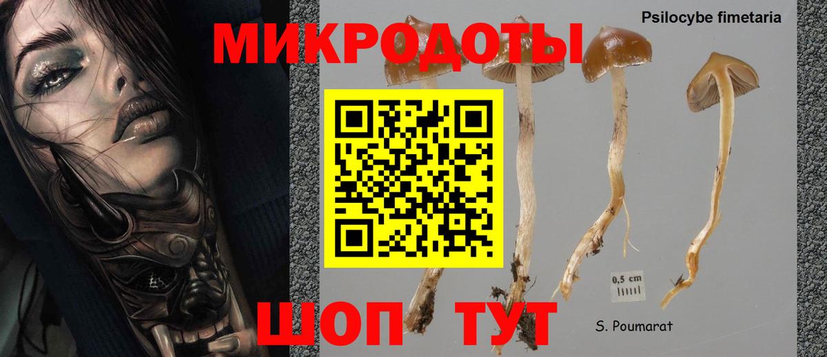 Усть-Кут  Псилоцибиновые грибы MAGIC MUSHROOMS  Вход с VPN  Галлюциногенные грибы GOLDEN TEACHER 